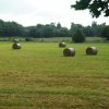 Tour 11: Hiddensee